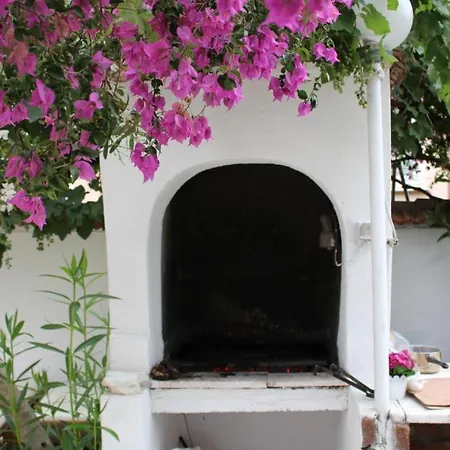 Turtle Bungalows Dalyan
