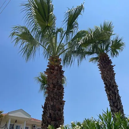 شقة فندقية Turtle Bungalows داليان